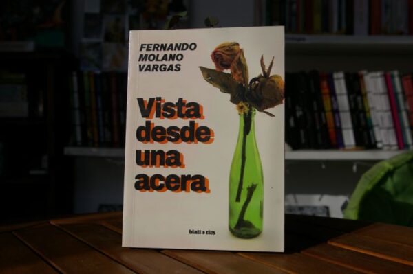 VISTA DESDE UNA ACERA Fernando Molano Vargas